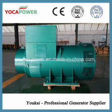 AC Бесщеточный генератор переменного тока, используемый в дизель-генераторном агрегате мощностью 800 кВт